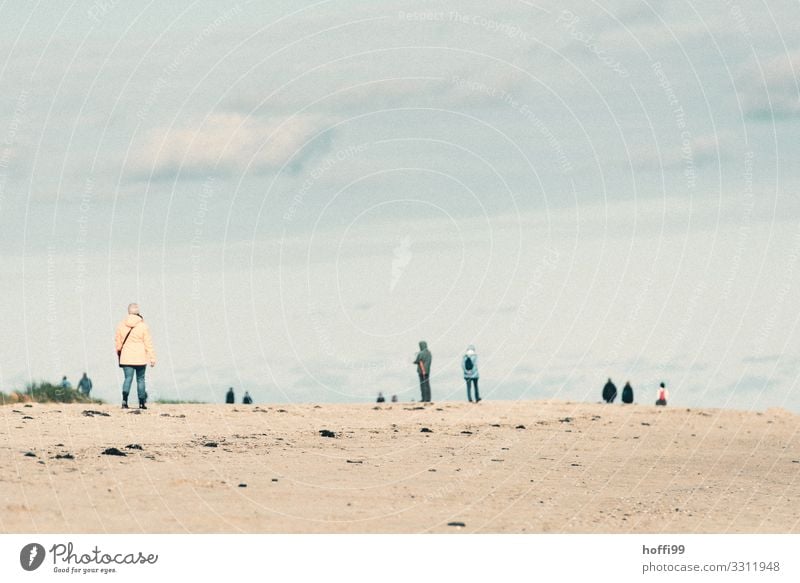 herbstlicher Strandspaziergang an der Nordsee Spaziergang wandern Mensch Erwachsene Menschengruppe Himmel Wolken Horizont Herbst Winter Wetter schlechtes Wetter