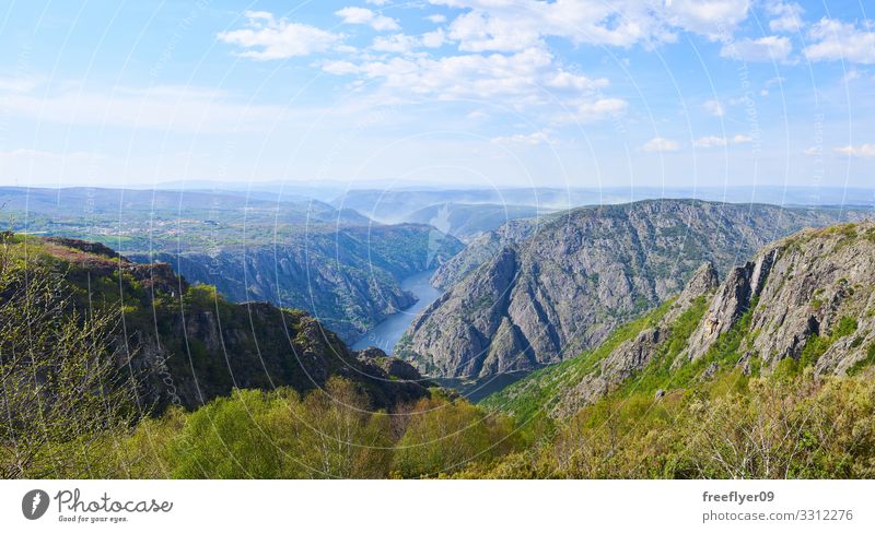 Silberzwiebeln schön Ferien & Urlaub & Reisen Tourismus Sommer Berge u. Gebirge Umwelt Natur Landschaft Himmel Park Wald Felsen Schlucht Fluss natürlich blau