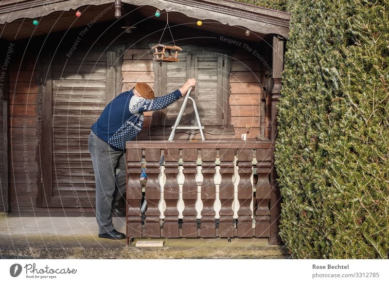 Alter Mann an Leiter Häusliches Leben Wohnung Garten Gartenhaus Futterhäuschen maskulin Männlicher Senior 1 Mensch 60 und älter festhalten machen stehen blau