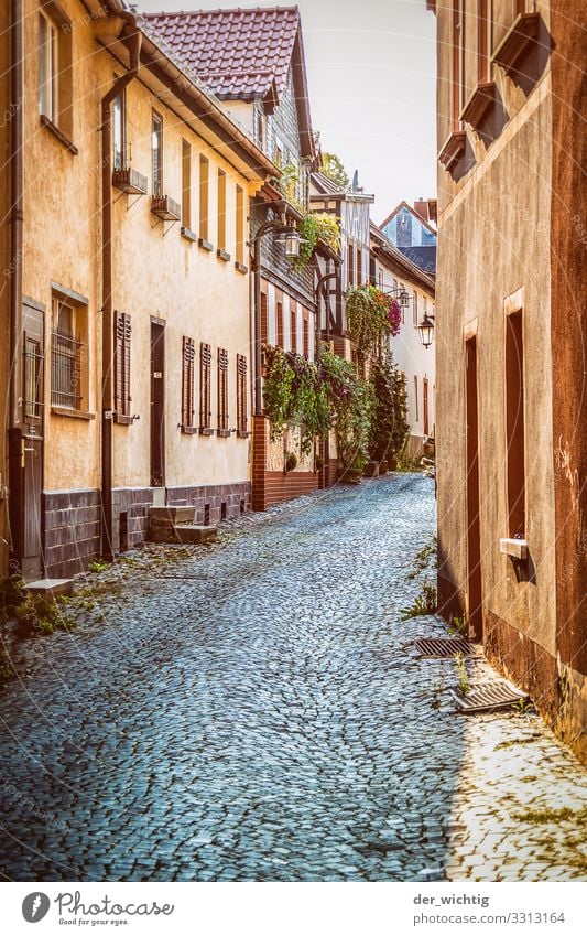 Die Gasse Menschenleer Haus Einfamilienhaus Bauwerk Gebäude Architektur Mauer Wand Fassade Straße Blumenkasten alt außergewöhnlich dunkel elegant natürlich