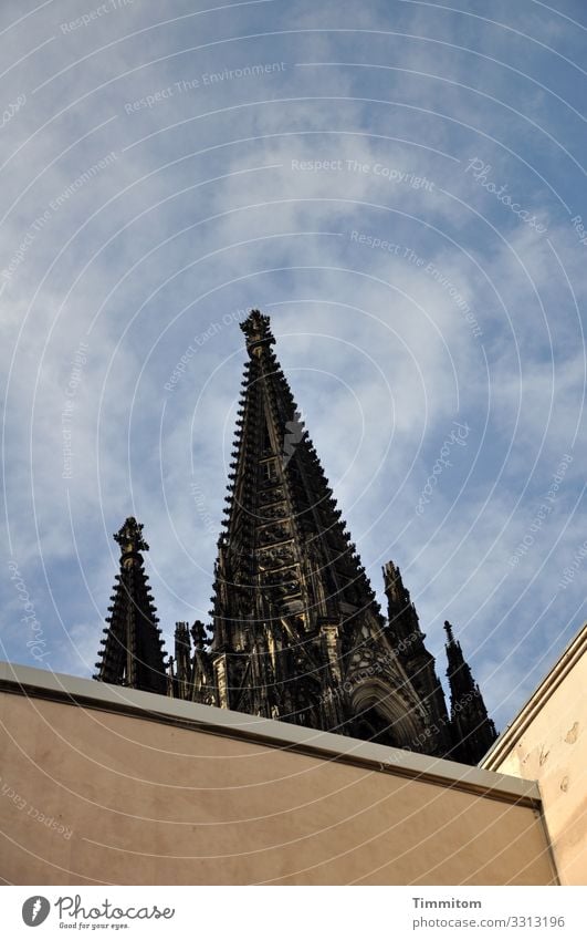 Blick nach oben Städtereise Himmel Schönes Wetter Köln Bauwerk Gebäude Architektur Sehenswürdigkeit Wahrzeichen Denkmal Kölner Dom Stein Beton blau braun gelb