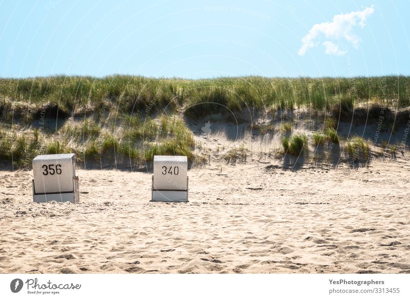 Strandkörbe am Strand und Grasdünen auf der Insel Sylt Erholung Sommer Sommerurlaub Sand Küste Nordsee heiß Friesische Insel Deutscher Strand Deutschland