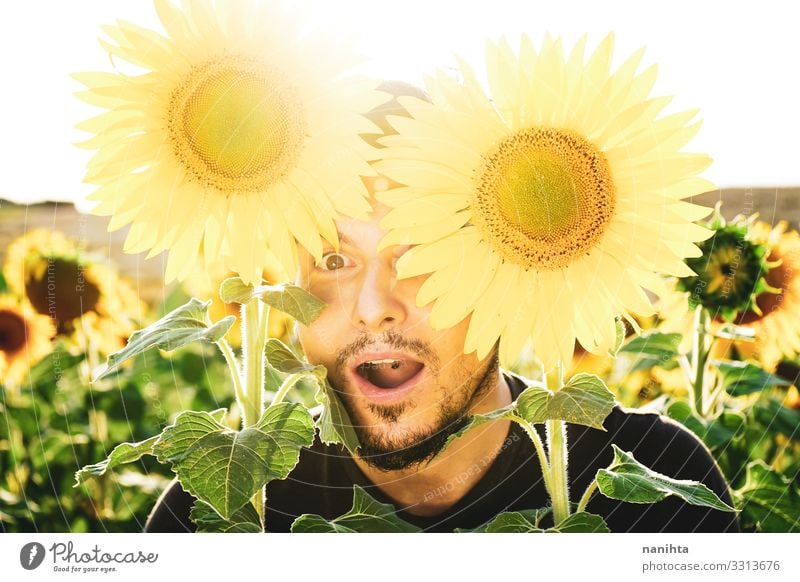 Junger Mann genießt den Tag auf einem Sonnenblumenfeld Gesicht Leben Mensch maskulin Erwachsene Natur Frühling Wetter Schönes Wetter Blume Vollbart genießen