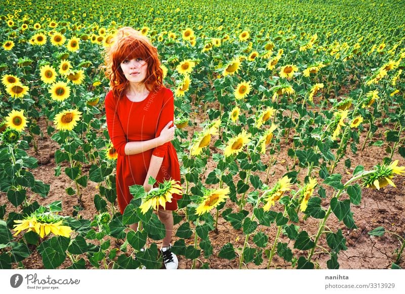 Reizende rothaarige Frau genießt den Tag auf einem Sonnenblumenfeld Rotschopf Fröhlichkeit Frühling jung genießen Freiheit Leben Blumen Sommer Feiertage Spaß