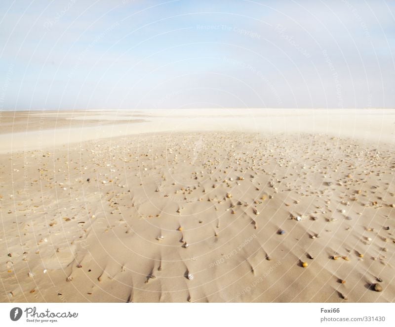 Spuren im Sand harmonisch Erholung ruhig Meditation Ferne Strand Meer Insel Urelemente Wasser Himmel Wolken Frühling Wind Küste Nordsee Muschel Stein