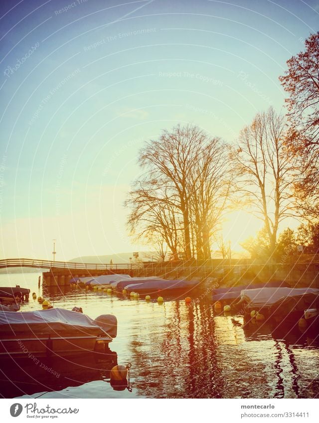 Überlingen Ferien & Urlaub & Reisen Ausflug Umwelt Natur Landschaft Pflanze Tier Urelemente Wasser Himmel Horizont Herbst Klima Wetter Schönes Wetter Baum