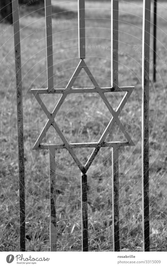 Davidstern in Türgitter zu Friedhof | alt Tor Metall Friedhofstür Zaun Gitter Judenfriedhof monochrom Gras Wiese Symbol Religion Religionsgemeinschaft Volk