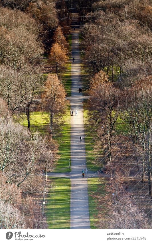 Großer Tiergarten Berlin Großstadt Deutschland Ferne Hauptstadt Horizont Ferien & Urlaub & Reisen Reisefotografie Skyline Stadt Tourismus Stadtleben Überblick