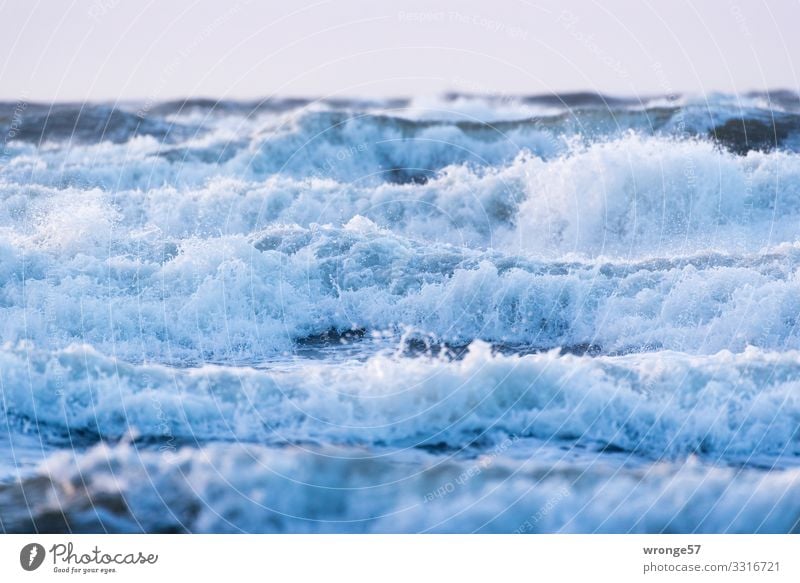 Wellenberge vor Wustrow Natur Urelemente Luft Wasser Himmel Herbst Unwetter Sturm Ostsee toben bedrohlich wild blau Wellenform Wellenkamm Wellenlinie Meer