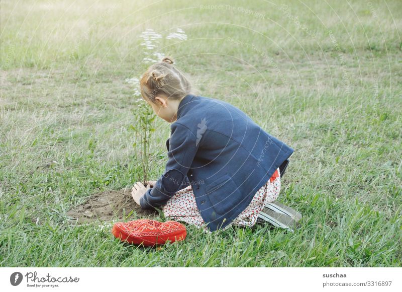 mädchen pflanzt einen blumenbaum mitten auf einer wiese Kind Mädchen Gras Wiese Blume Wiesenblume pflanzen eingraben Gartenarbeit Natur Sommer Pflanze Frühling