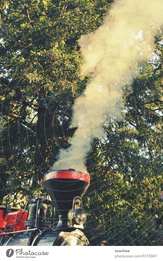 husch husch eisenbahn Eisenbahn Lokomotive Dampflokomotive historischer Zug Zugmaschine Wasserdampf Rauchwolke Triebfahrzeug Schienenfahrzeug Schornstein Baum