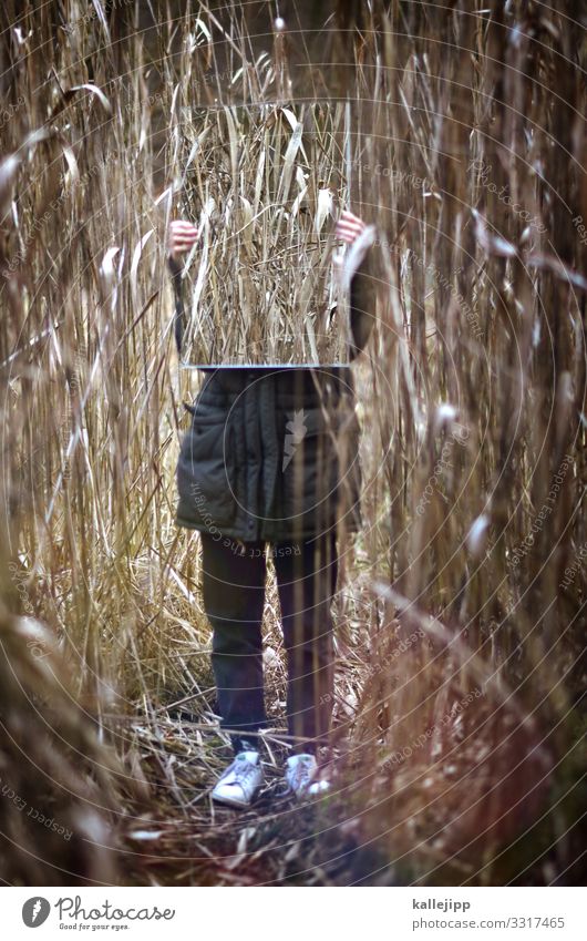 girl behind the mirror Mensch Jugendliche Leben Umwelt Natur Landschaft Pflanze Tier Sträucher Wald stehen Spiegel stoppen Spiegelbild Schilfrohr Moor Sumpf