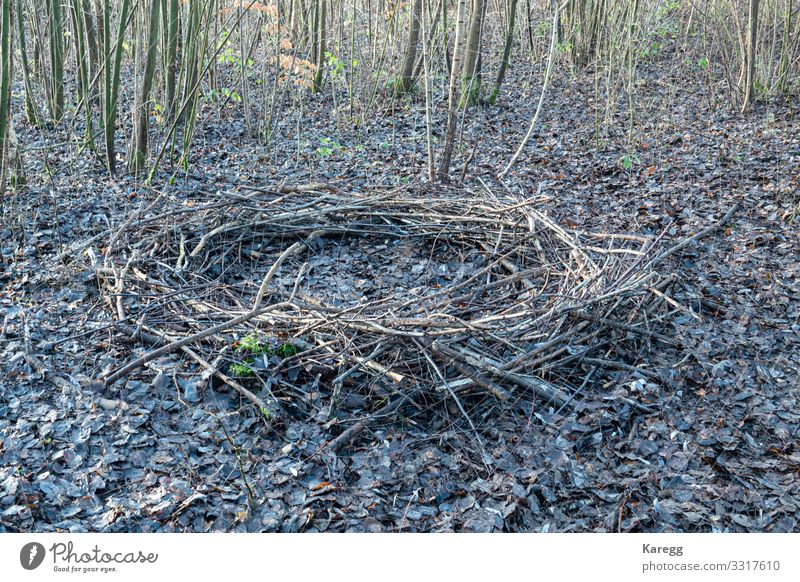 mysterious circle of branches Design Winter Halloween Natur Holz Zeichen Ornament außergewöhnlich gruselig Gefühle Stimmung Angst Entsetzen Unglaube Glaube