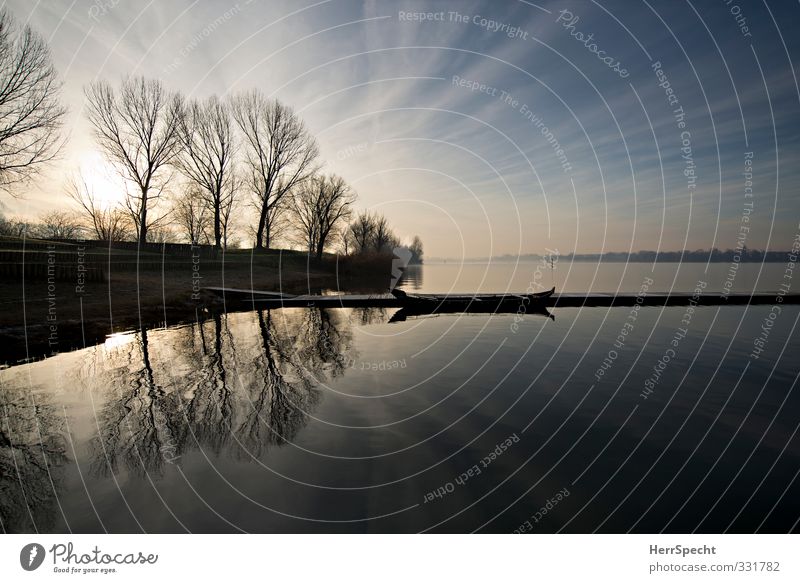 Morgens am Lago Umwelt Natur Landschaft Himmel Wolken Winter Schönes Wetter Baum Seeufer Mantua Italien blau grau weiß ruhig Einsamkeit Wasserfahrzeug Steg