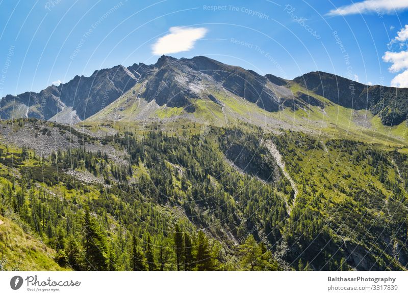 Bergpanorama (Österreich) Ferien & Urlaub & Reisen Tourismus Sommer Sommerurlaub Berge u. Gebirge wandern Umwelt Natur Landschaft Pflanze Himmel Schönes Wetter