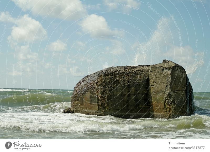 Badender Elefant Ferien & Urlaub & Reisen Umwelt Natur Urelemente Wasser Himmel Nordsee Dänemark Beton Schwimmen & Baden Freundlichkeit blau grün schwarz weiß