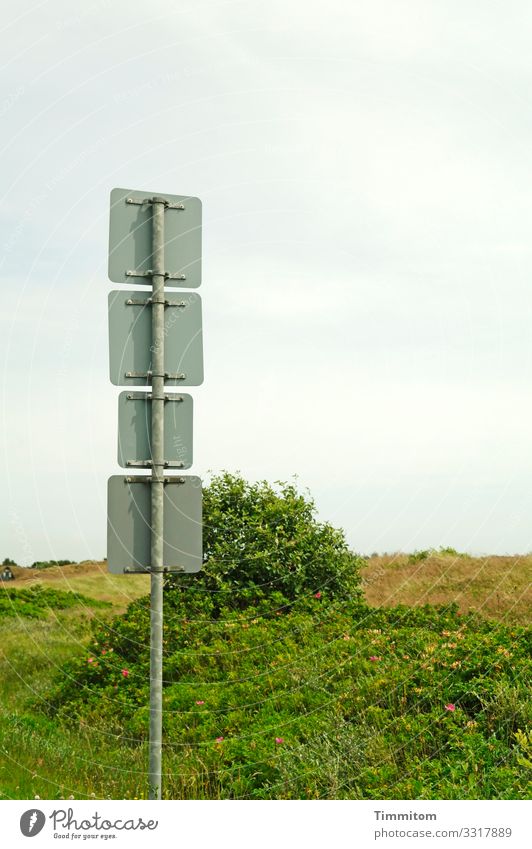 Schilderquartett Ferien & Urlaub & Reisen Umwelt Natur Landschaft Pflanze Himmel Wolken Gras Sträucher Düne Dänemark Verkehr Verkehrszeichen Verkehrsschild