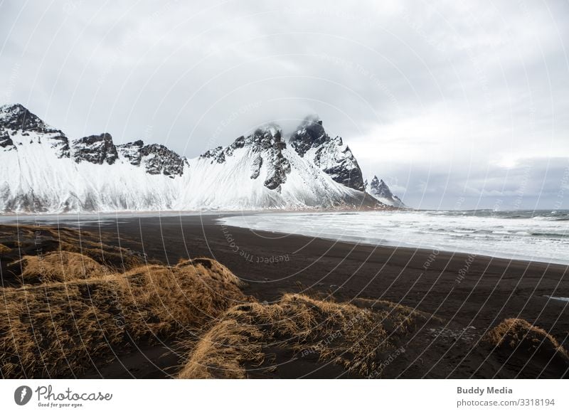 Stokksnes - Black Sand Beach in Island Ferien & Urlaub & Reisen Expedition Berge u. Gebirge Natur Landschaft Erde Wasser Himmel Wolken Frühling Wetter Wind Gras