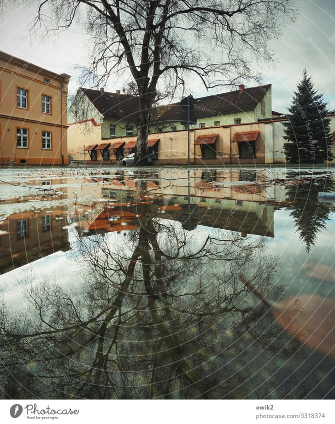 Doppeltes Spiel Wasser Wolken Baum Torgau Sachsen Deutschland Kleinstadt Stadtzentrum bevölkert Haus Gebäude Mauer Wand Fenster Dach Schornstein dunkel nass