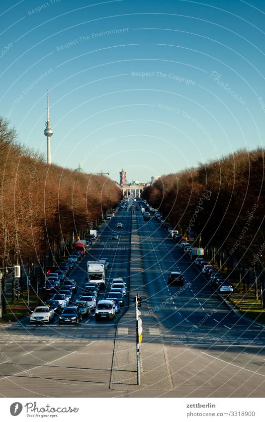 Straße des 17. Juni nach Osten Berlin Großstadt Deutschland Ferne Hauptstadt Horizont Ferien & Urlaub & Reisen Reisefotografie Skyline Stadt Tourismus