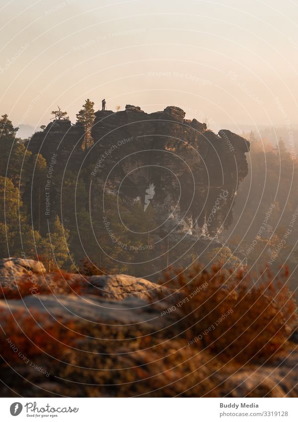 Kleine Ganz in der Bastei, Sächsische Schweiz, Lohmen Natur Landschaft Erde Himmel Wolkenloser Himmel Sonnenaufgang Sonnenuntergang Herbst Baum Gras Sträucher