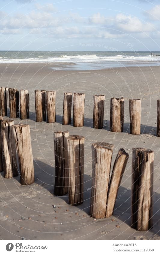 Strandliebe Sand Holz Holzpfahl Meer Himmel Wolken Außenaufnahme Ferien & Urlaub & Reisen Erholung Sommer Fernweh Wasser braun blau weiß