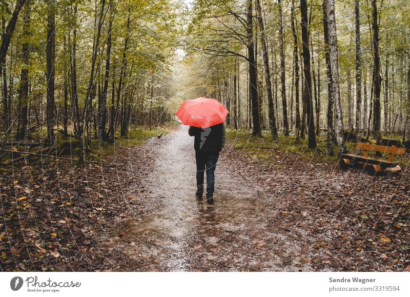 I‘m singin’ in the rain maskulin 1 Mensch Umwelt Natur Landschaft Herbst schlechtes Wetter Regen Baum Wald Menschenleer Wege & Pfade Jeanshose Regenschirm gehen