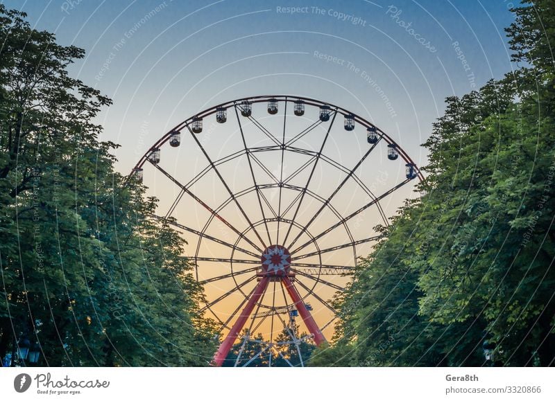 Riesenrad im Park gegen den blauen Himmel hinter Bäumen Freude Freizeit & Hobby Ferien & Urlaub & Reisen Entertainment Baum Taxi Metall Bewegung gelb rot Farbe