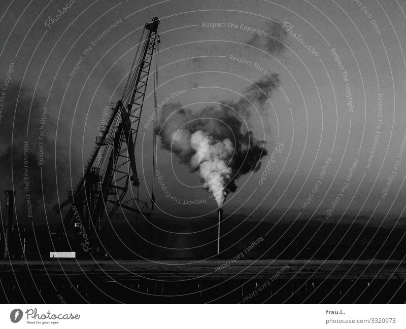Hafen Ferien & Urlaub & Reisen Tourismus Ausflug Städtereise Meer Winter Wismar Hafenstadt Industrieanlage dreckig dunkel Rauch Kran Schornstein Holzhafen