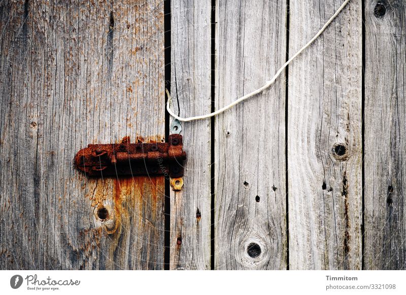 Detail einer hölzernen Fischerhütte - Schieberiegel und Kabel Holz Maserung Tür Bretter Riegel Rost alt Menschenleer Detailaufnahme Strukturen & Formen Dänemark