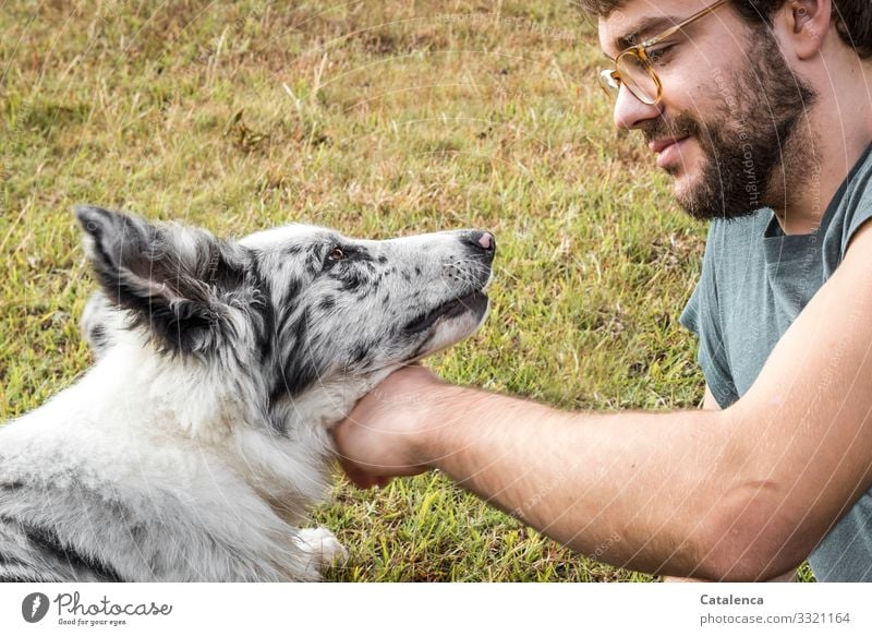 Streicheleinheiten, liebevoll streichelt der junge Mann seinen Hund maskulin Junger Mann Jugendliche 1 Mensch Tier Sommer Gras Wiese Brille brünett kurzhaarig