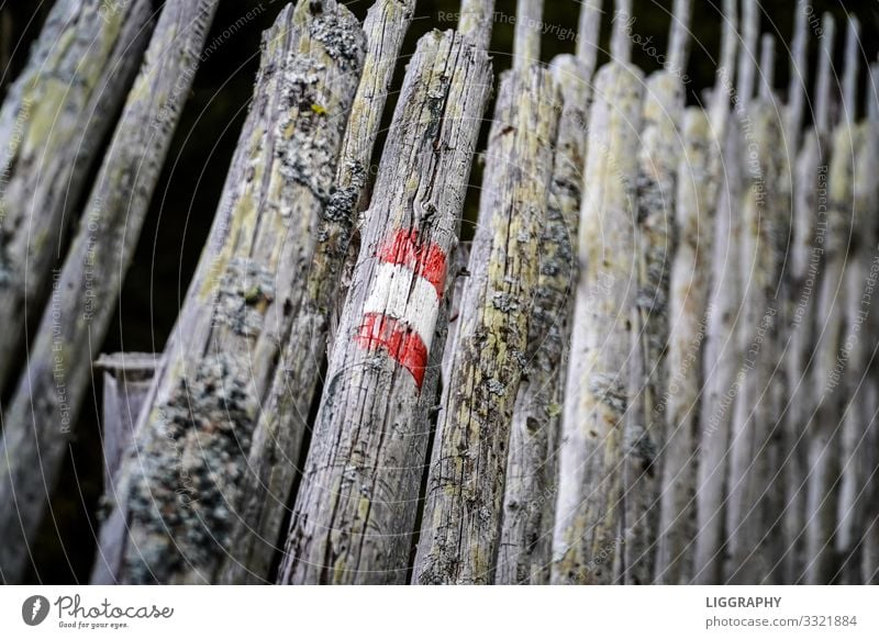 Das Wandern ist ... Gesundheit Übergewicht Abenteuer Ferne Sommer Berge u. Gebirge wandern Sport Klettern Bergsteigen Natur Landschaft Wanderschuhe Holz Linie