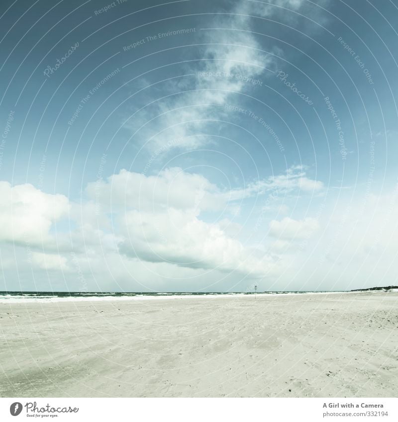 Zingst Umwelt Natur Landschaft Himmel Wolken Winter Schönes Wetter Küste Ostsee hell kalt blau Gedeckte Farben Außenaufnahme Textfreiraum links