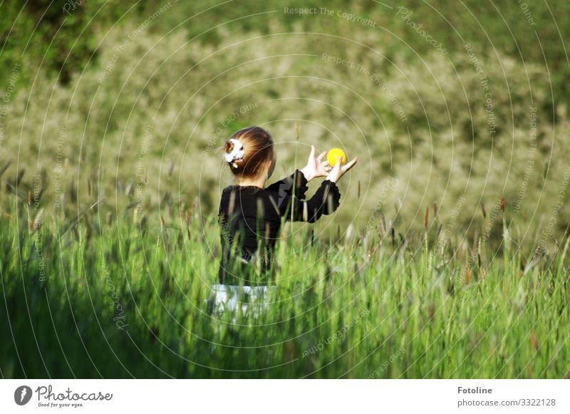 Ballspiel Mensch feminin Mädchen Kindheit Leben 1 8-13 Jahre Umwelt Natur Landschaft Pflanze Sommer Schönes Wetter Gras Wiese frei Fröhlichkeit hell natürlich