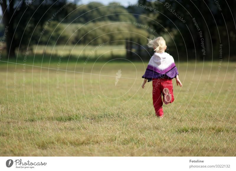 unbeschwert Mensch feminin Kind Mädchen Kindheit Leben 1 3-8 Jahre Umwelt Natur Landschaft Pflanze Herbst Baum Gras Park Wiese frei Fröhlichkeit hell