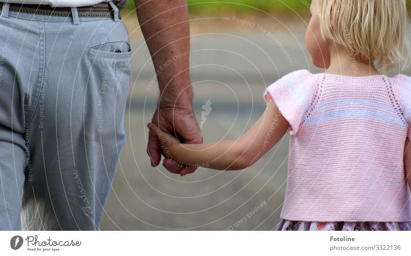 Opa und Enkelchen Mensch maskulin feminin Kind Mädchen Mann Erwachsene Männlicher Senior Großvater Familie & Verwandtschaft Kindheit Leben Kopf Haare & Frisuren