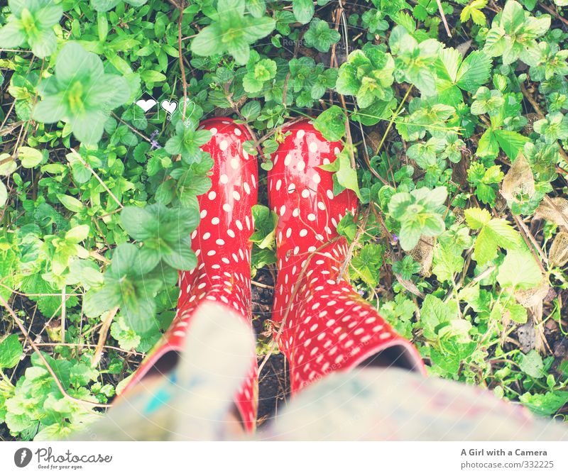 so isses Gummistiefel mehrfarbig schlechtes Wetter gepunktet wasserdicht Garten Beet Gedeckte Farben Außenaufnahme abstrakt Muster Textfreiraum links