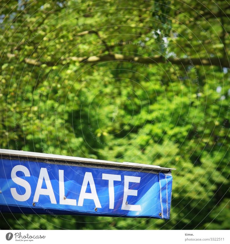 Grünzeug | Geschriebenes Arbeitsplatz Handel Gastronomie Schönes Wetter Baum Wald Marktstand Salat Abdeckung Dach Kunststoff Schriftzeichen