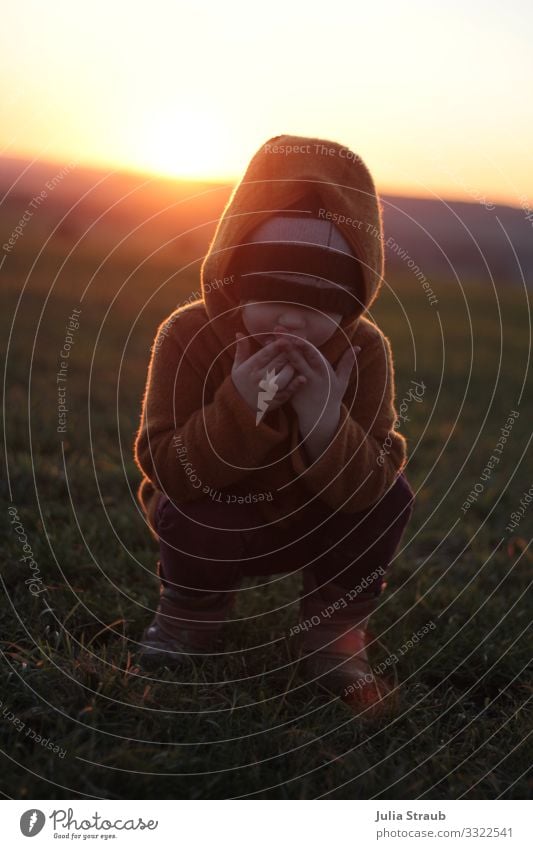 Sonnenuntergang Wiese Ups feminin Kind Kleinkind 1 Mensch 3-8 Jahre Kindheit Sonnenaufgang Sonnenlicht Winter Schönes Wetter Gras Feld Wolljacke Mütze Stiefel