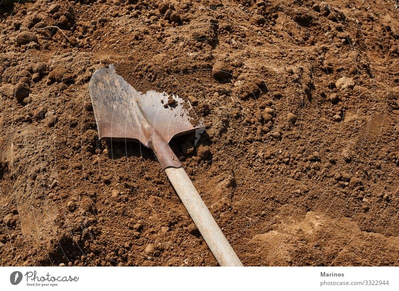 Schaufel auf dem Boden im Hintergrund.Gartenarbeit. Arbeit & Erwerbstätigkeit Werkzeug Frau Erwachsene Natur Erde Sand Metall braun schaufeln Graben Ackerbau