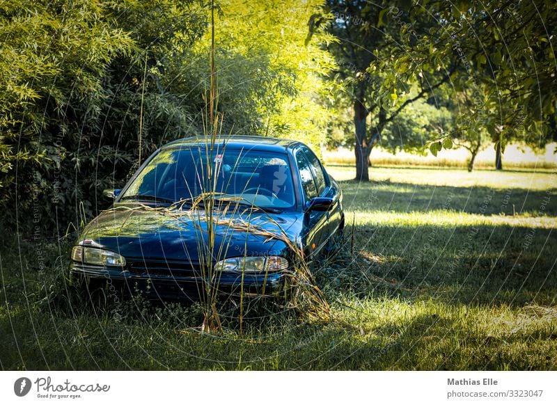 Altes Auto auf einer grünen Wiese Landschaft Pflanze Baum Gras PKW alt historisch kaputt retro trashig unbeständig Senior Güterverkehr & Logistik Rost verdorben