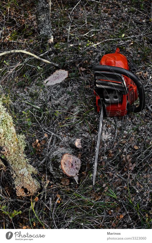 Elektrische Kettensäge im Wald. Arbeit & Erwerbstätigkeit Industrie Werkzeug Säge Technik & Technologie Mann Erwachsene Natur Baum Arbeitsbekleidung Holz Macht