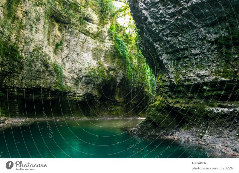 Bergfluss mit hohen Klippen und grünen Pflanzen in einer Schlucht Ferien & Urlaub & Reisen Tourismus Ausflug Sommer Berge u. Gebirge Tapete Umwelt Natur