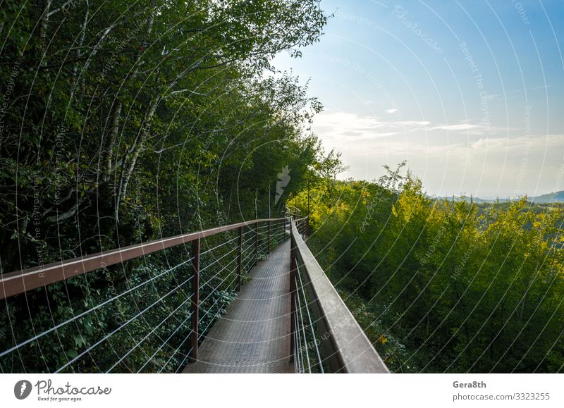 lange Hängeeisenbrücke in einer Schlucht in Georgien Ferien & Urlaub & Reisen Tourismus Ausflug Berge u. Gebirge Natur Landschaft Pflanze Himmel Wolken Horizont