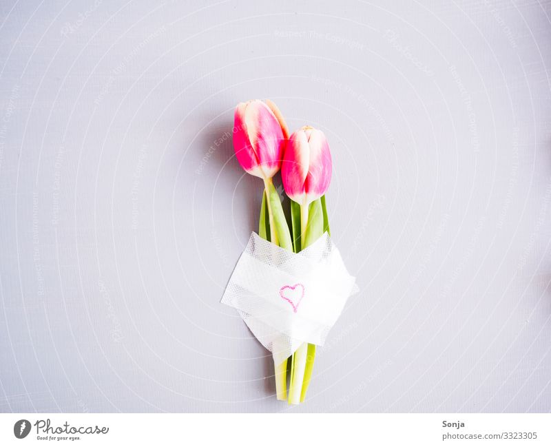 Zwei rosa Tulpen mit einem Pflaster und einem Herz Valentinstag Muttertag Hochzeit Geburtstag Blume Blatt Blüte Zeichen Blühend Duft außergewöhnlich trendy