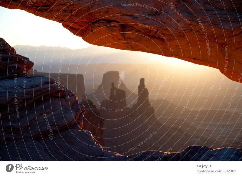 Washerwoman Arch Canyonlands Umwelt Natur Landschaft Sonnenaufgang Sonnenuntergang Felsen Schlucht außergewöhnlich fantastisch Ferne braun gold orange Fernweh