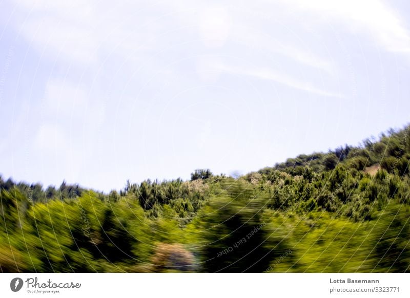 Wald in Bewegung Umwelt Natur Landschaft Pflanze Tier Himmel Sonnenlicht Sommer Schönes Wetter Baum Blatt Grünpflanze natürlich wild Berge u. Gebirge unterwegs