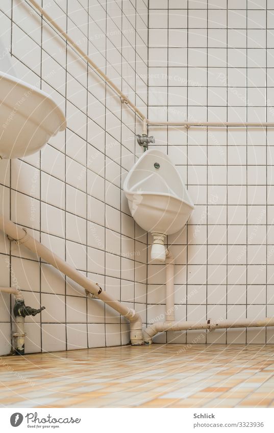 Flüssigdünger Pissoir Architektur weiß Toilette Düngung Fliesen u. Kacheln Raum Keramik hell Röhren Verrohrung Abwasserrohre Toilettenspülung Hochformat Quadrat