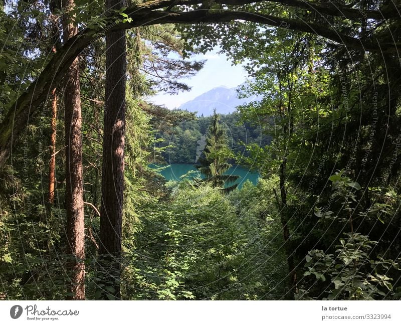 Zeitfenster Gesundheit Freizeit & Hobby Ferien & Urlaub & Reisen Sommer Sommerurlaub See Fahrradfahren wandern Umwelt Natur Landschaft Schönes Wetter Baum