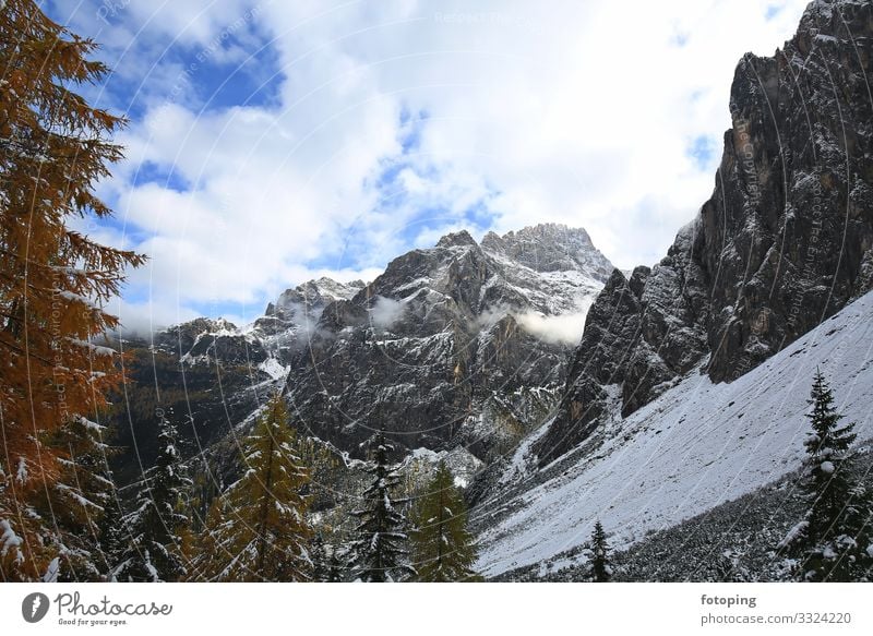 Fischleinbachtal Tourismus Ausflug Winter wandern Natur Landschaft Pflanze Wolken Herbst Schönes Wetter Baum Moos Blatt Wald Sehenswürdigkeit kalt Ausflugsziel